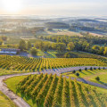 Exploring the Outdoor Museums of Loudoun County, Virginia